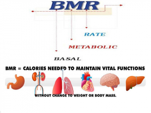 ‌BMR